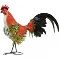 Floristik24 Decorative rooster metal colorful garden decoration figure metal decoration 58×13×50cm