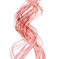 Floristik24 Half Curly Willow 100cm pink 30p