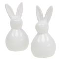 Floristik24 Bunny Ceramic White 7,5cm 6pcs