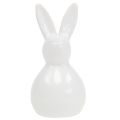 Floristik24 Bunny Ceramic White 7,5cm 6pcs