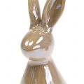 Floristik24 Deco Rabbit Brown Mother of Pearl 15,5cm 2pcs