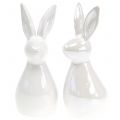 Floristik24 Decorative bunny white mother-of-pearl 15.5cm 2pcs