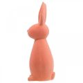 Floristik24 Deco rabbit flocked apricot, Easter decoration H30cm 2pcs