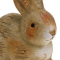 Floristik24 Bunny made of ceramic nature 7cm x 8cm 6pcs