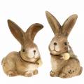 Floristik24 Decorative figures rabbits with feather and wooden pearl brown assorted 7cm x 4.9cm H 10cm 2pcs