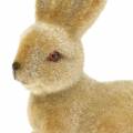 Floristik24 Bunny flocked brown H8.5cm 6pcs