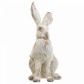 Floristik24 Decorative rabbit sitting shabby chic spring decoration H25cm 2pcs