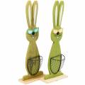 Floristik24 Easter bunnies with basket green, spring, decorative planting basket, Easter decoration wooden bunny 2pcs