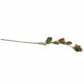 Hazelnut branch green / brown 84cm | Floristik24.co.uk