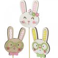 Floristik24 Funny Easter bunny decoration bunny head on stick flower decoration 7cm 12pcs