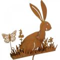 Floristik24 Bunny flower plug rust decorative plug metal Easter 11cm 4pcs