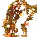 Floristik24 Autumn garland orange 3m
