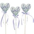 Floristik24 Lavender heart, summer decoration, heart to stick with lavender, Mediterranean heart decoration 6pcs