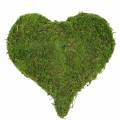 Floristik24 Moss heart green 20cm 3pcs