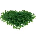 Floristik24 Decorative heart boxwood artificial decorative mat green 30.5cm