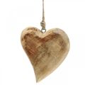 Floristik24 Wooden heart hearts made of wood deco pendant mango wood H14cm 3pcs