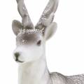 Deco deer flocked/snowed 39cm | Floristik24.co.uk