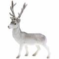 Floristik24 Deco deer flocked/snowed 39cm