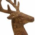 Floristik24 Deco deer bark look H32cm
