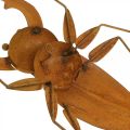 Floristik24 Stag beetle, garden figure, metal decoration made of patina L25cm
