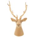 Deko Deer Head Sculpture with Large Gold Antlers 52cm | Floristik24.co.uk