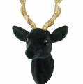 Floristik24 Decorative deer head flocked black, gold 10cm x 20cm 3pcs
