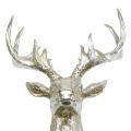 Floristik24 Deer head for wall decoration gold, silver 22cm x 32cm