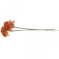 Floristik24 Elderberry Orange Artificial Blossom Branch 52cm 4pcs