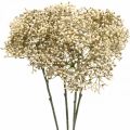 Floristik24 Artificial elderberry cream white decorative blossom branch 52cm 4pcs