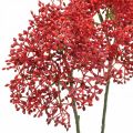 Floristik24 Elder red artificial flowers for autumn bouquet 52cm 6pcs