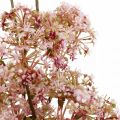 Floristik24 Blossoming deco branch dusky pink Artificial meadow flowers 88cm
