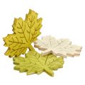 Floristik24 Maple leaves for spreading autumn colors sorted 4cm 72pcs
