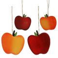 Floristik24 Wooden apples for hanging red-yellow 9cm - 13cm 12pcs