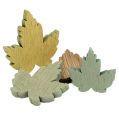 Floristik24 wooden leaves Pastel Mix 3cm - 4,5cm 24pcs