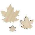 Floristik24 Wooden leaves, maple leaves mix 2.5cm - 7cm 36pcs
