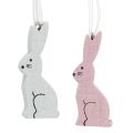 Floristik24 Wooden rabbit for hanging pink, white 2.5cm x 6.5cm 10 pieces