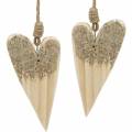 Floristik24 Wooden heart glitter for hanging 18cm x 10cm 2pcs