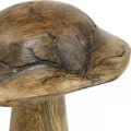 Floristik24 Wooden mushroom with pattern deco mushroom natural, golden wood deco Ø10cm H13cm