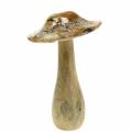 Floristik24 Wood mushroom glazed natural / white H20cm