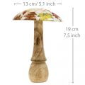 Wooden mushroom deco autumn leaves white, colorful autumn decoration Ø13cm H19cm | Floristik24.co.uk