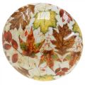 Wooden mushroom deco autumn leaves white, colorful autumn decoration Ø13cm H19cm | Floristik24.co.uk