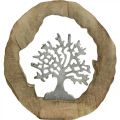 Floristik24 Deco sculpture tree in a wooden ring table decoration to place 22×21×4cm