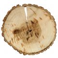Floristik24 Wood disc natural 20cm 2pcs