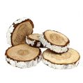 Floristik24 Wood slices fir optics 3-7.5cm 500g
