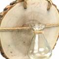 Floristik24 Wooden disc with glass vase for hanging Ø22cm