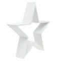 Floristik24 Wooden Star Set White 4pcs