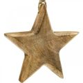 Floristik24 Decorative star, wooden pendants, Christmas decorations 14cm × 14cm