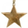 Floristik24 Decorative star, wooden pendants, Christmas decorations 14cm × 14cm