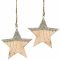 Floristik24 Hanging Decoration Glitter Star Wood 14,5cm 2pcs