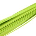 Floristik24 1652/5000 Wooden strips spring green 95cm - 100cm 50pcs